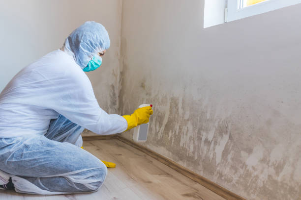 Hvac And Air Duct Mold Remediation inspection of HVAC system in Phoenix
